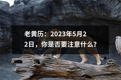 老黄历：2023年5月22日，你是否要注意什么？