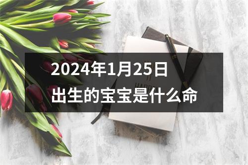 2024年1月25日出生的宝宝是什么命