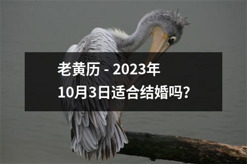 老黄历 - 2023年10月3日适合结婚吗？