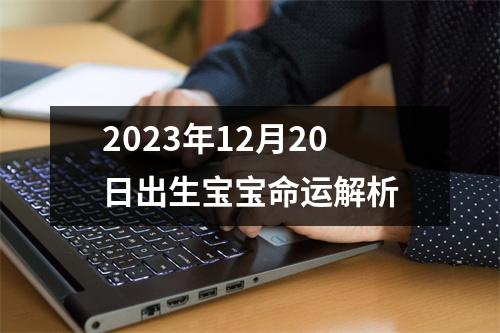 2023年12月20日出生宝宝命运解析