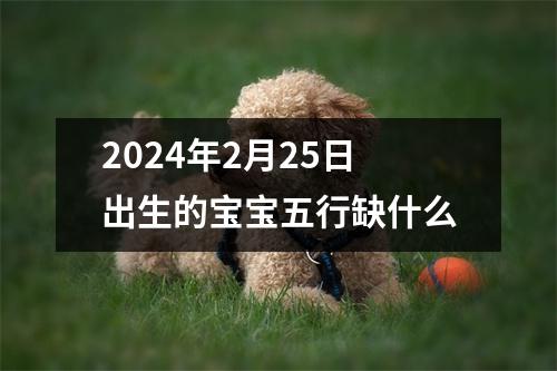 2024年2月25日出生的宝宝五行缺什么