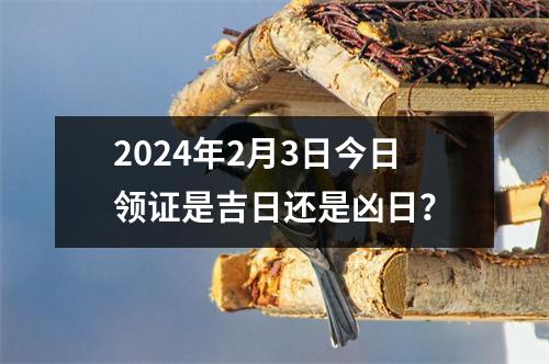 2024年2月3日今日领证是吉日还是凶日？