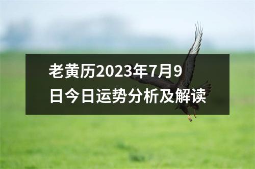 老黄历2023年7月9日今日运势分析及解读