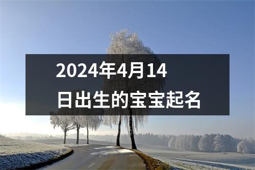 2024年4月14日出生的宝宝起名