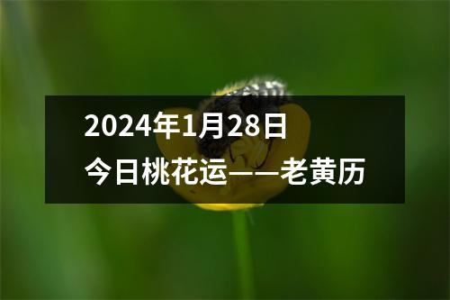 2024年1月28日今日桃花运——老黄历