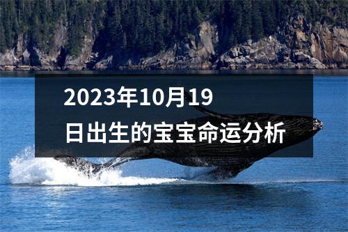 2023年10月19日出生的宝宝命运分析