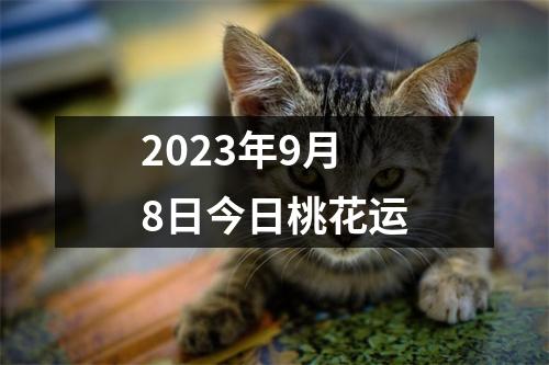 2023年9月8日今日桃花运