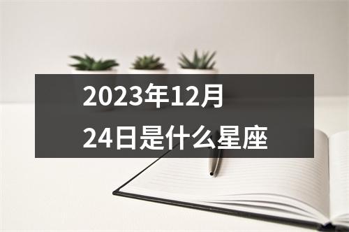 2023年12月24日是什么星座