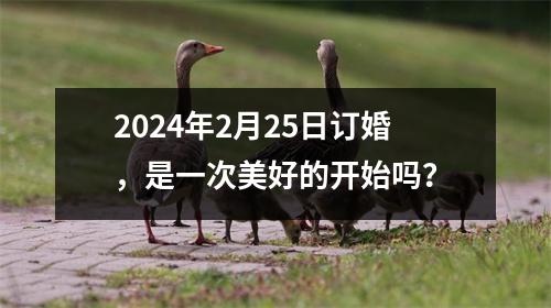 2024年2月25日订婚，是一次美好的开始吗？