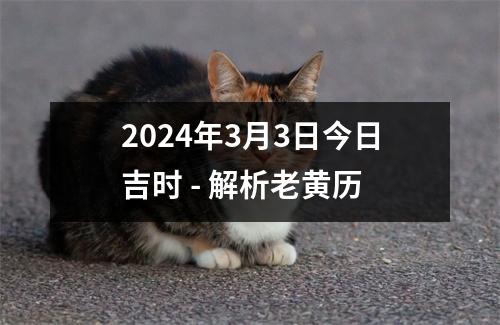 2024年3月3日今日吉时 - 解析老黄历