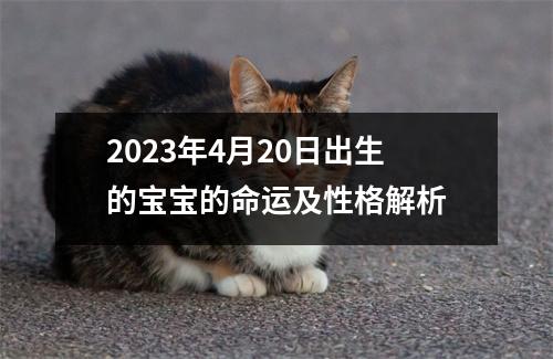 2023年4月20日出生的宝宝的命运及性格解析