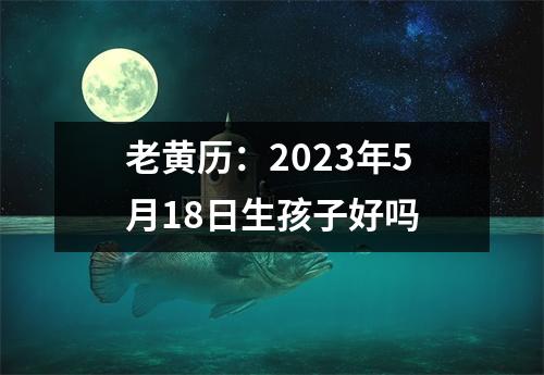 老黄历：2023年5月18日生孩子好吗