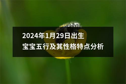 2024年1月29日出生宝宝五行及其性格特点分析