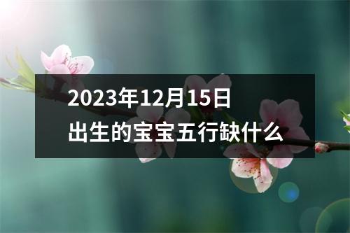 2023年12月15日出生的宝宝五行缺什么