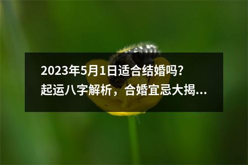 2023年5月1日适合结婚吗？起运八字解析，合婚宜忌大揭秘！