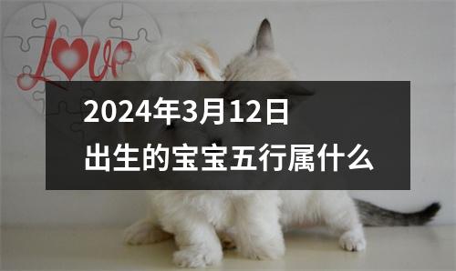 2024年3月12日出生的宝宝五行属什么