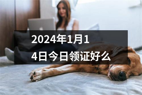 2024年1月14日今日领证好么