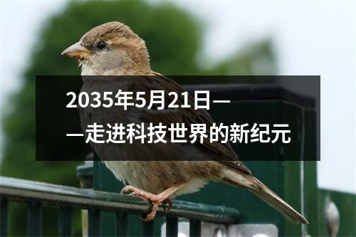 2035年5月21日——走进科技世界的新纪元