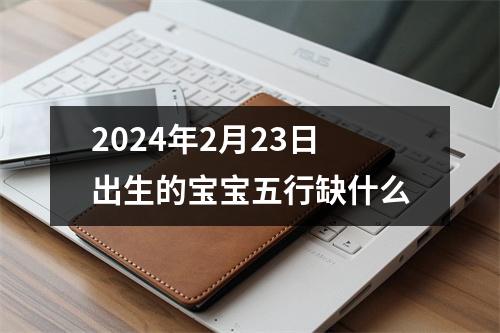 2024年2月23日出生的宝宝五行缺什么