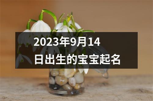 2023年9月14日出生的宝宝起名