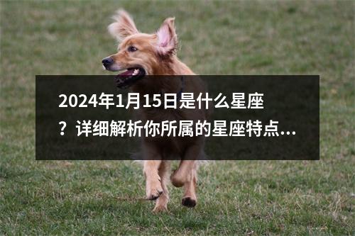 2024年1月15日是什么星座？详细解析你所属的星座特点及性格分析