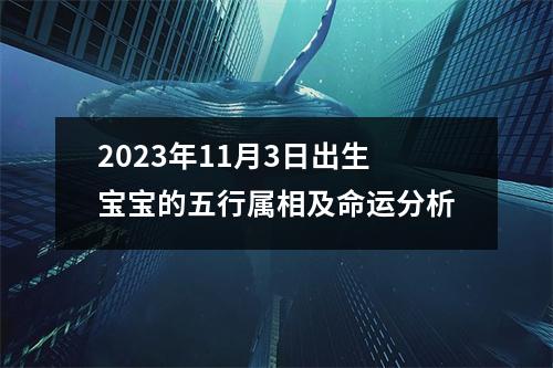 2023年11月3日出生宝宝的五行属相及命运分析