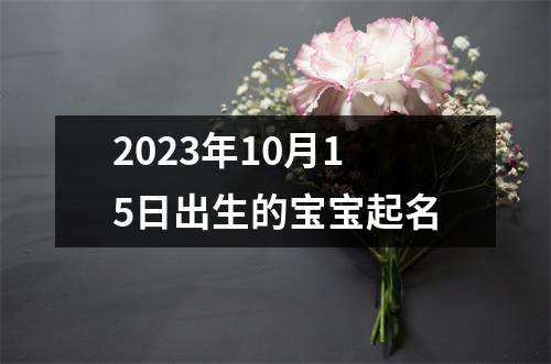 2023年10月15日出生的宝宝起名