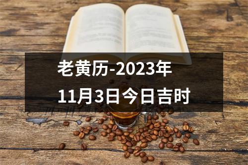 老黄历-2023年11月3日今日吉时