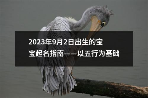 2023年9月2日出生的宝宝起名指南——以五行为基础