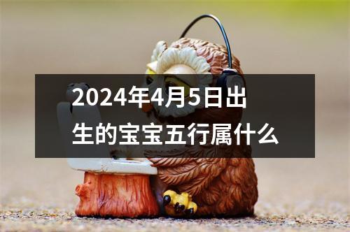 2024年4月5日出生的宝宝五行属什么