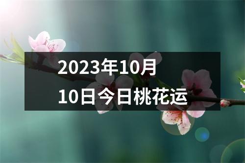 2023年10月10日今日桃花运