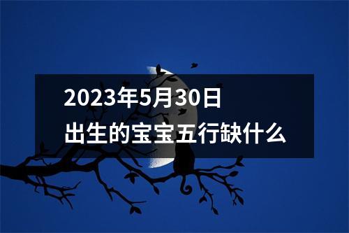 2023年5月30日出生的宝宝五行缺什么