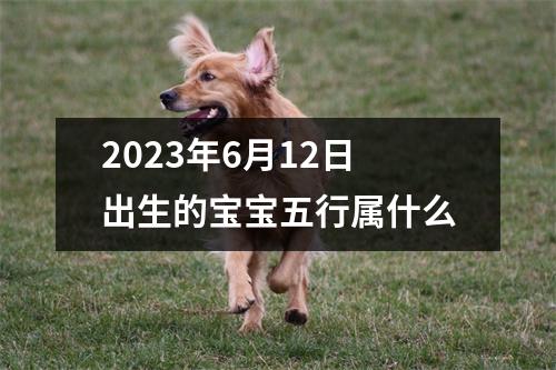 2023年6月12日出生的宝宝五行属什么