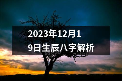 2023年12月19日生辰八字解析