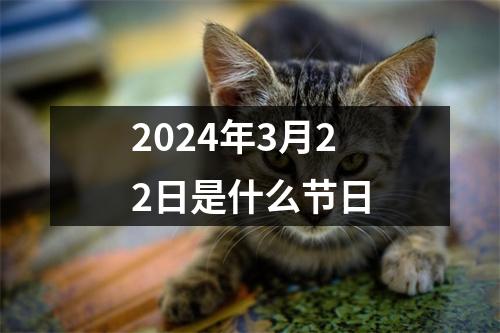 2024年3月22日是什么节日