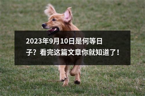 2023年9月10日是何等日子？看完这篇文章你就知道了！