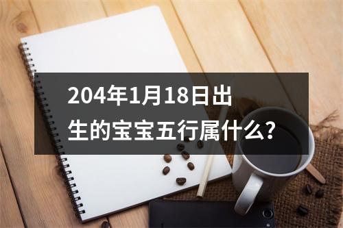 204年1月18日出生的宝宝五行属什么？