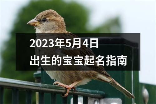 2023年5月4日出生的宝宝起名指南