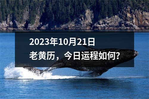 2023年10月21日老黄历，今日运程如何？