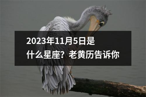 2023年11月5日是什么星座？老黄历告诉你