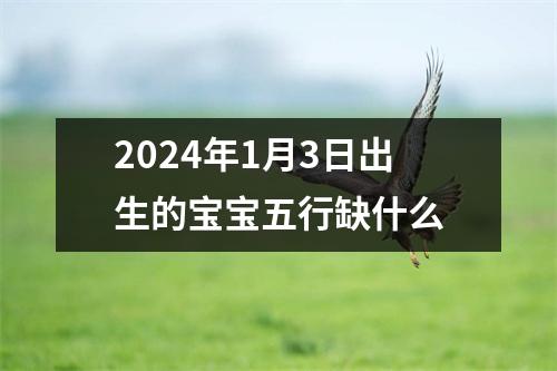 2024年1月3日出生的宝宝五行缺什么