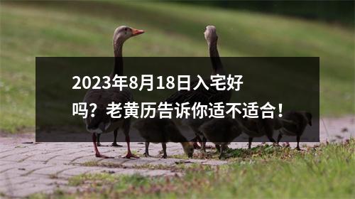 2023年8月18日入宅好吗？老黄历告诉你适不适合！