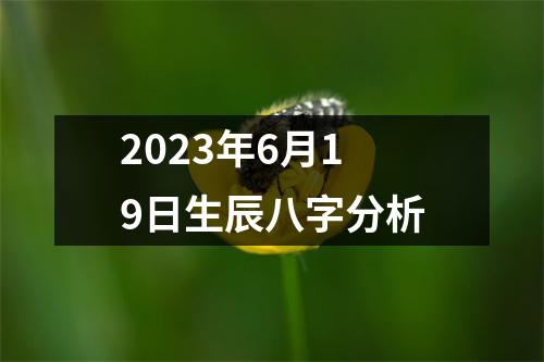 2023年6月19日生辰八字分析