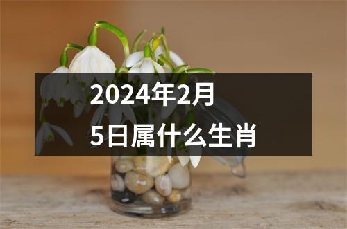 2024年2月5日属什么生肖