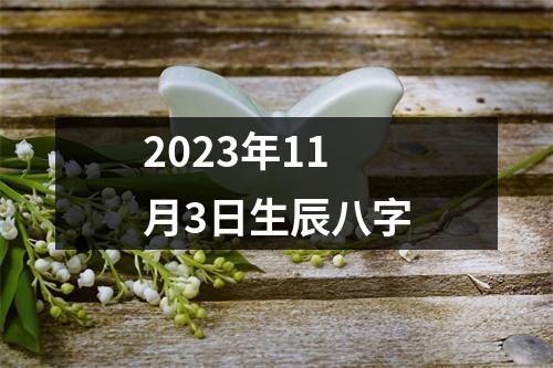 2023年11月3日生辰八字