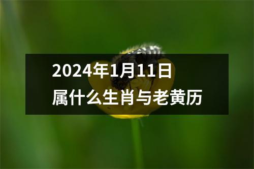 2024年1月11日属什么生肖与老黄历