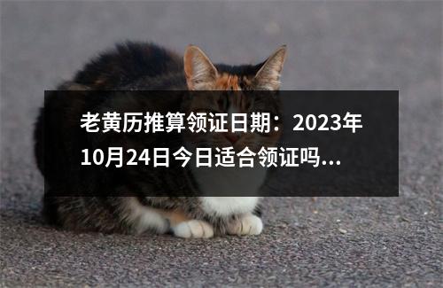 老黄历推算领证日期：2023年10月24日今日适合领证吗？