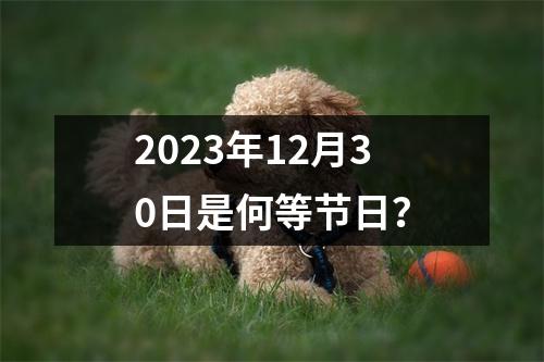 2023年12月30日是何等节日？