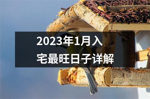 2023年1月入宅旺日子详解