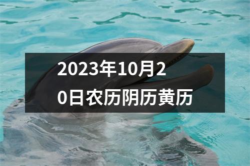 2023年10月20日农历阴历黄历